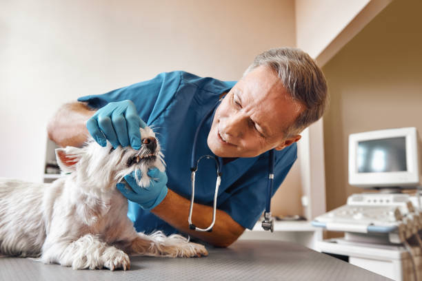 Best Affordable Emergency Dental Care  in Villas, FL